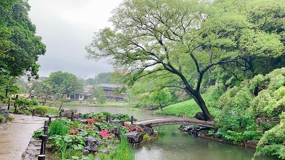 肥後細川庭園の写真