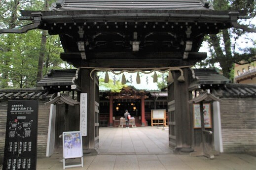 赤坂氷川神社の神門の写真