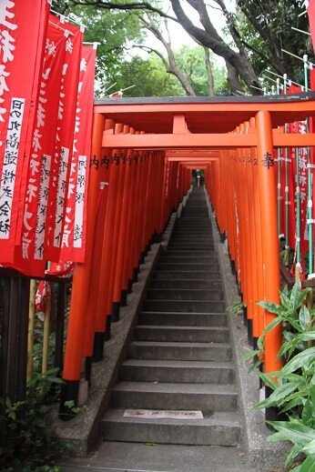 日枝神社の千本鳥居の写真