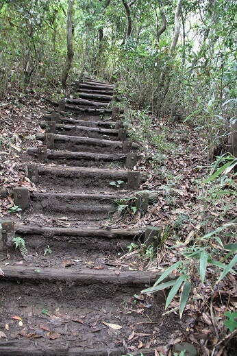 trip-nokogiriyama_鋸山山頂への階段の写真