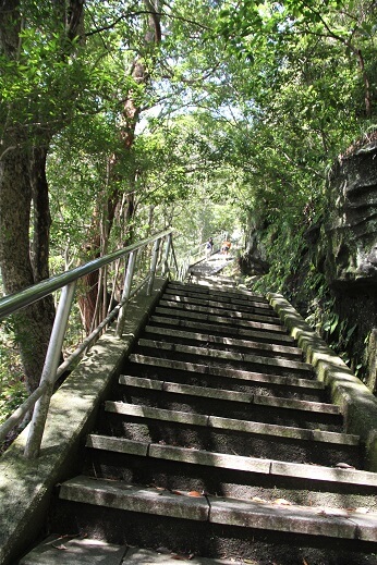 trip-nokogiriyama_日本寺の階段の写真