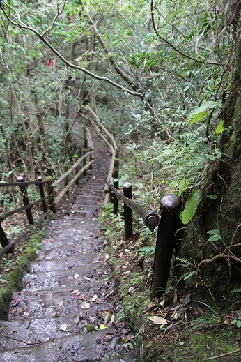 trip-nokogiriyama_展望台に上るまでの階段の写真