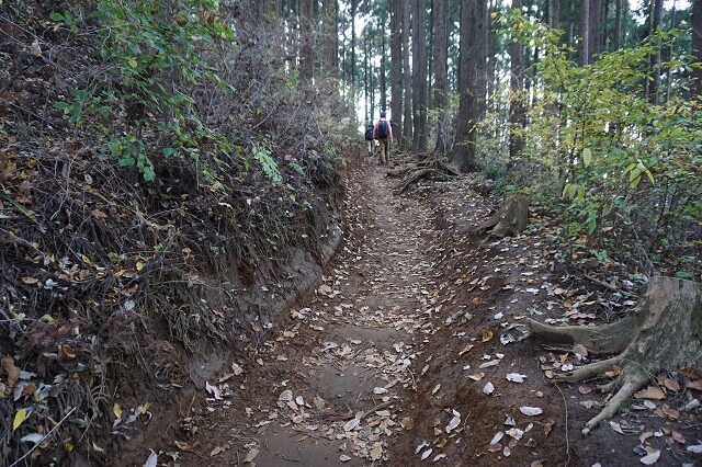 景信山から小仏城山への道の写真