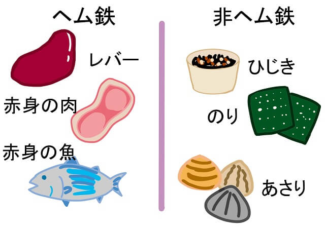 ヘム鉄と非ヘム鉄が含まれる食品の図