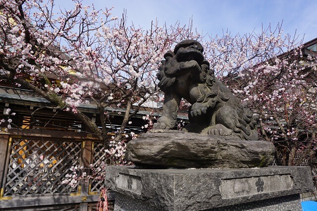 湯島天神の狛犬阿形の写真