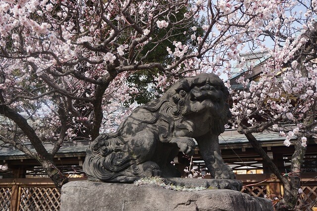 湯島天神の狛犬吽形の写真