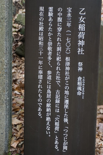 根津神社の乙女稲荷の説明看板の写真