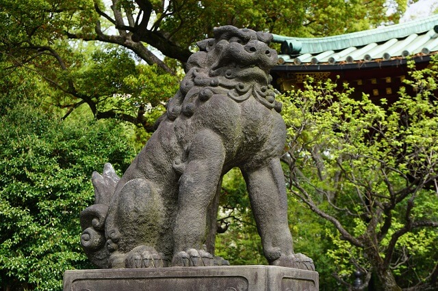根津神社の狛犬吽形の写真