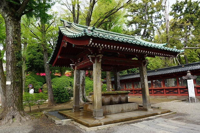 根津神社の手水舎の写真