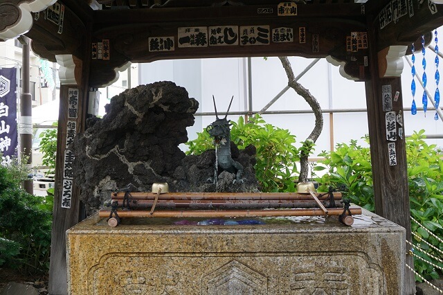 白山神社の手水舎の龍