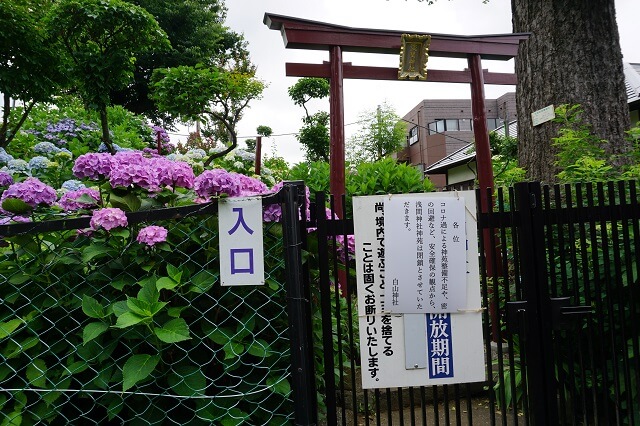 浅間神社の入り口