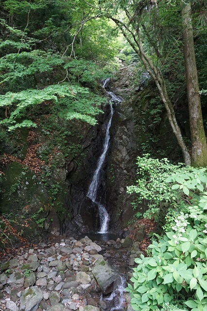 阿夫利神社の二重社の滝