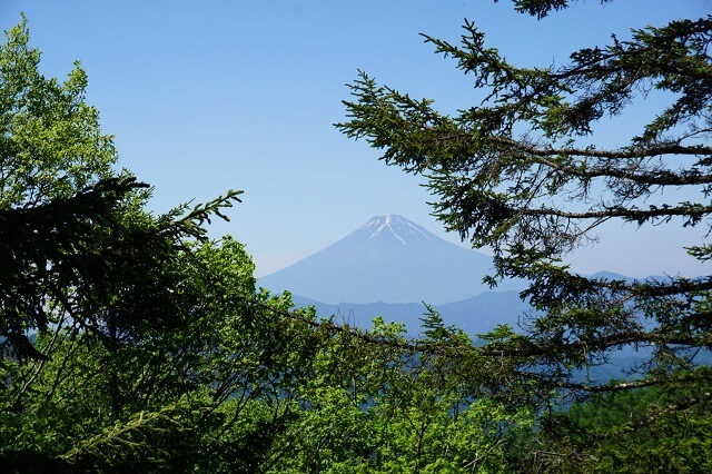 登山道から見える富士山