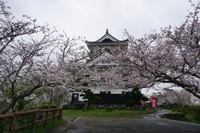 桜と館山城